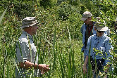 Ottawa Fen