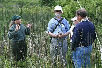 Ottawa Fen