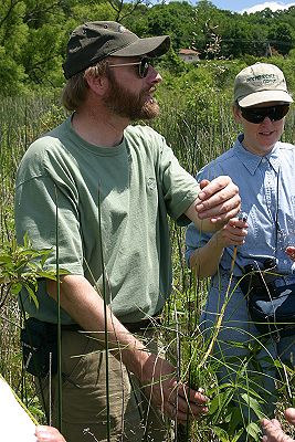 Ottawa Fen