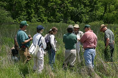 Ottawa Fen