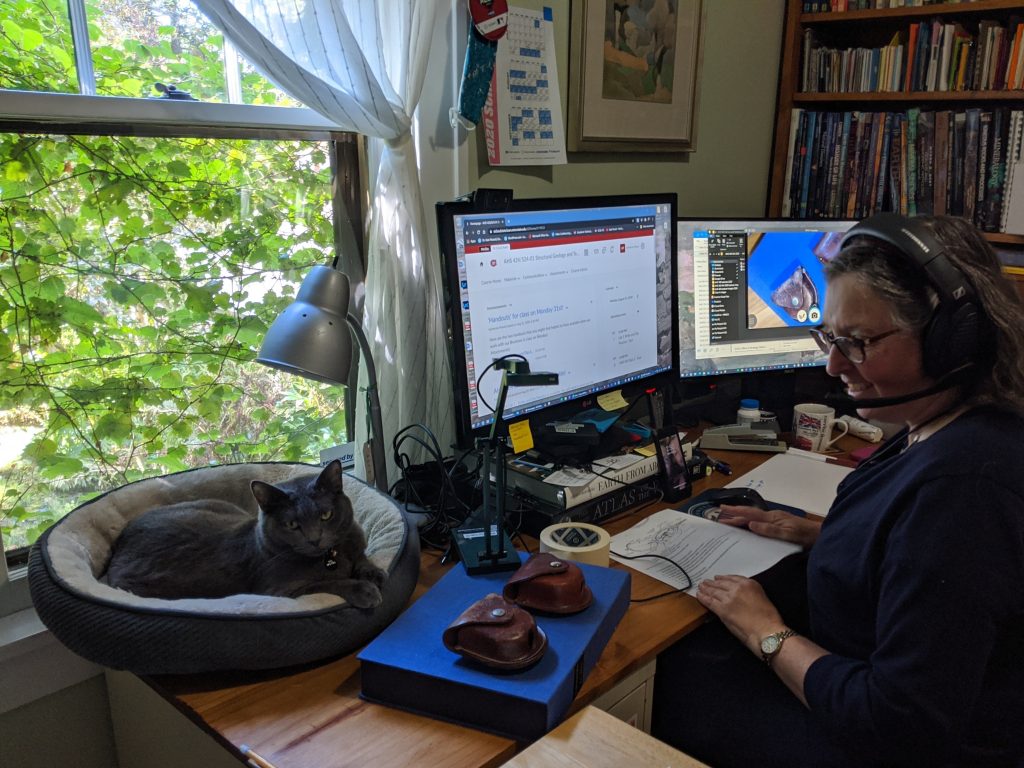 A woman working on a computer.