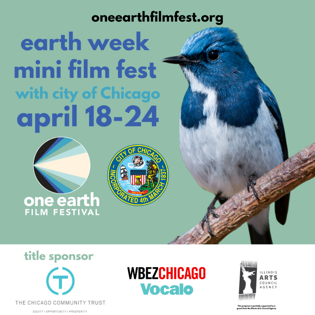 Announcement for one earth film festival earth week mini film fest. Graphic includes a picture of a blue jay perched on a log and the logos for the one earth film festival and City of Chicago.