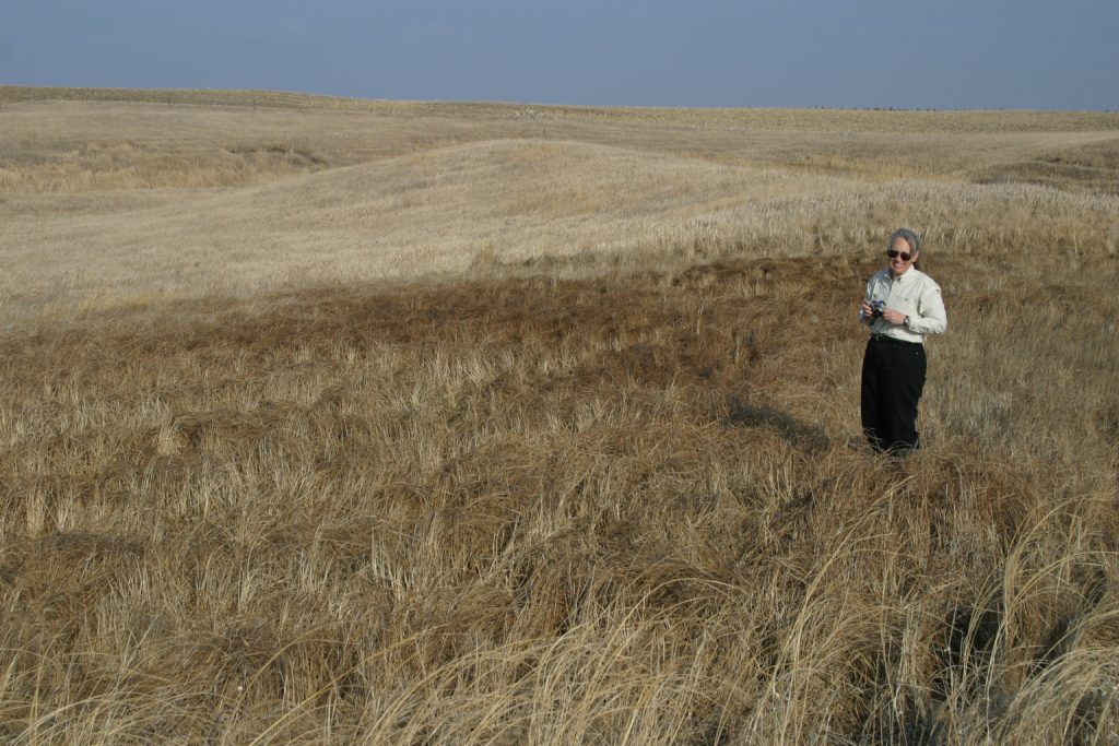 Photograph of Jennie Leete. Jennie is wearing a white shirt, black pants, and sunglasses. She is standing on a calcareous fen that is covered with golden-colored grasses.