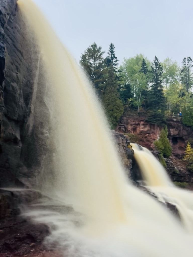 President’s Letter