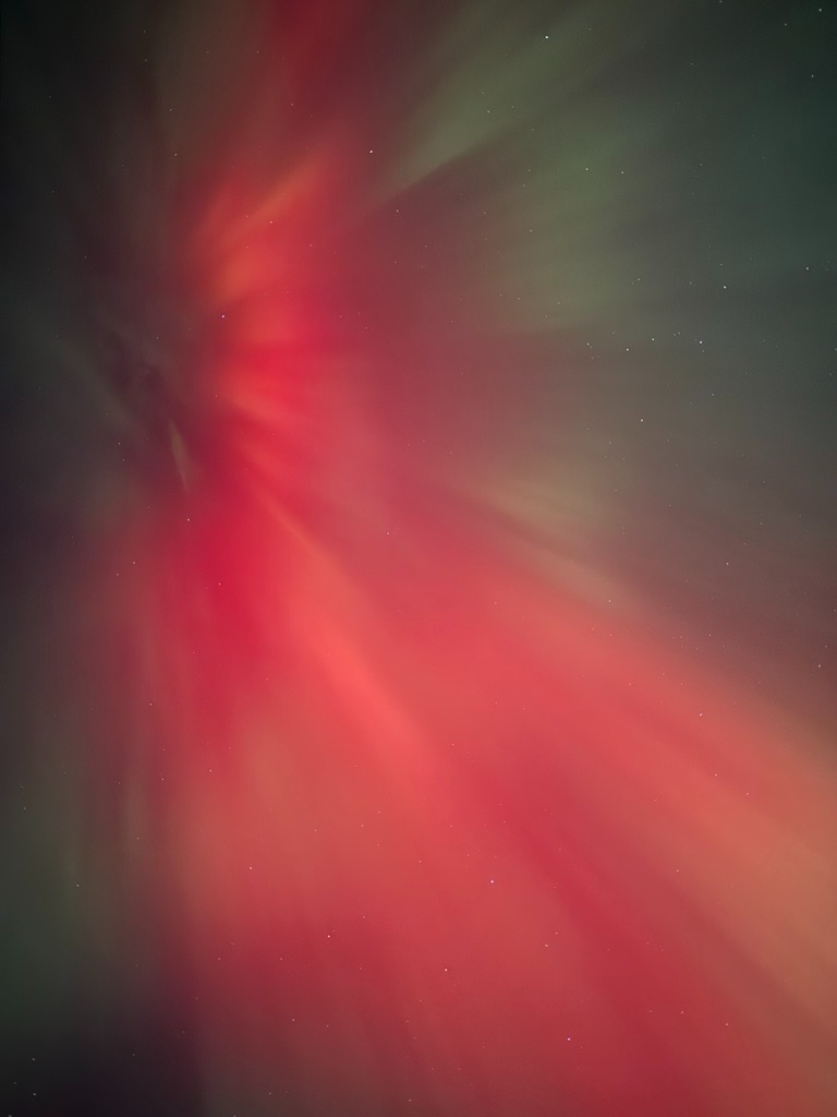 President’s Letter